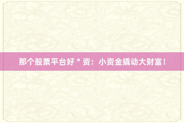 那个股票平台好 * 资：小资金撬动大财富！