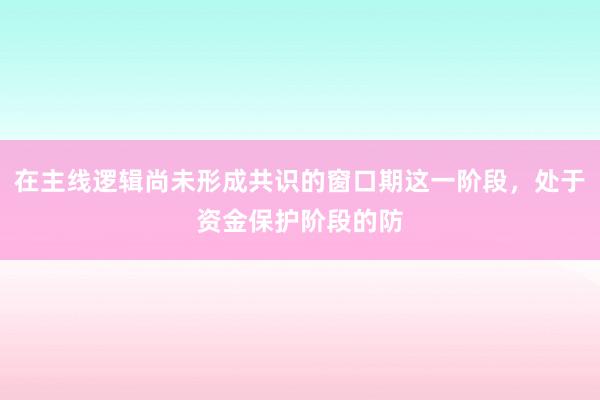 在主线逻辑尚未形成共识的窗口期这一阶段，处于资金保护阶段的防