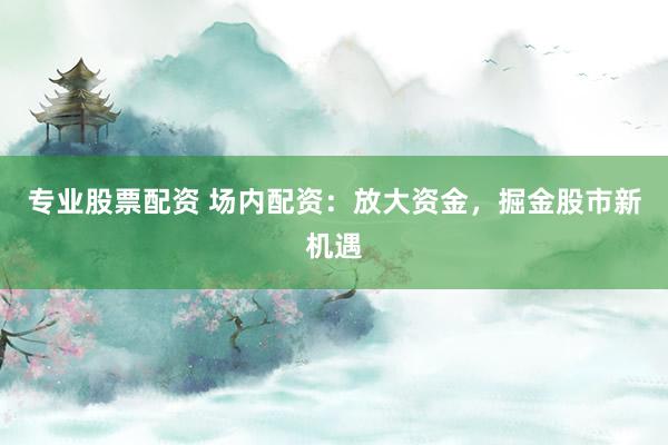 专业股票配资 场内配资：放大资金，掘金股市新机遇