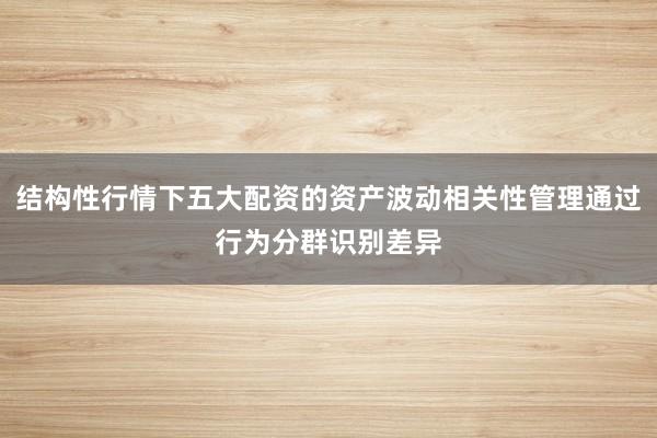 结构性行情下五大配资的资产波动相关性管理通过行为分群识别差异