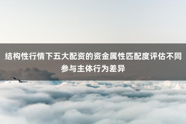 结构性行情下五大配资的资金属性匹配度评估不同参与主体行为差异