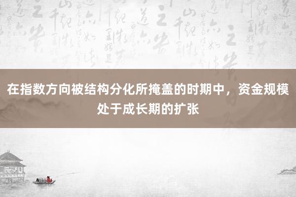 在指数方向被结构分化所掩盖的时期中，资金规模处于成长期的扩张