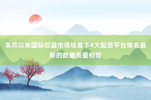 本月以来国际权益市场场景下4大配资平台排名最新的数据质量校验