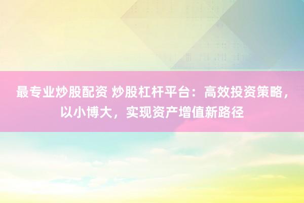 最专业炒股配资 炒股杠杆平台：高效投资策略，以小博大，实现资产增值新路径